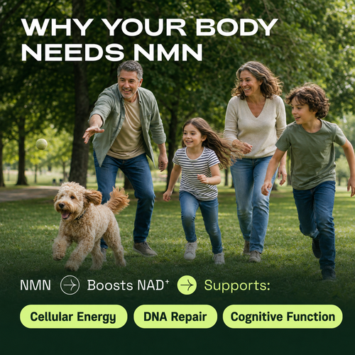 NMN 4-in-1 Formular Support