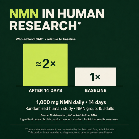 NMN 4-in-1 Formular Support