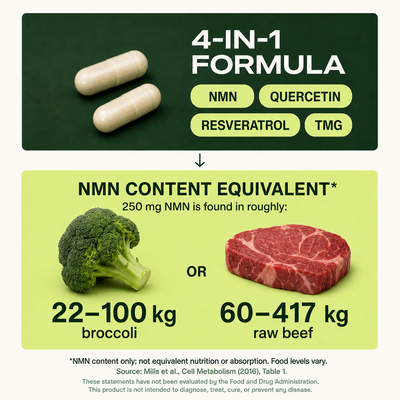 NMN 4-in-1 Formular Support